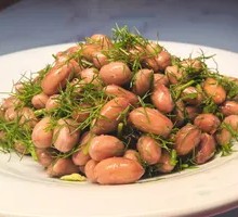 茴香花生