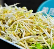 Mung Bean Sprouts