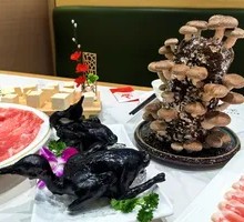 Black Truffle Pigeon