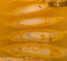 Meat and Three Fresh Dumplings