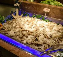 South American Shrimp