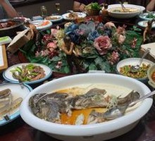 Scrambled Oil Grouper