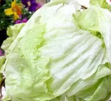 Chinese cabbage