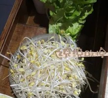 Bean sprouts