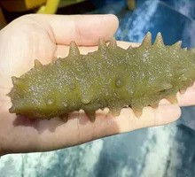 Dalian Sea Cucumber Dish