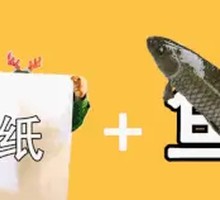 Signature Paper-Wrapped Fish