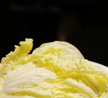 Napa cabbage