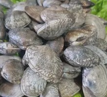 Grilled Clams