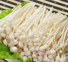 Enoki Mushroom