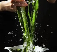 9-Second Kelp Sprout