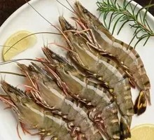 Sea Supplement Shrimp