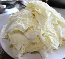 Napa cabbage