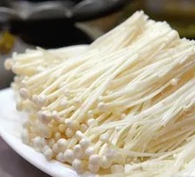 Enoki Mushroom