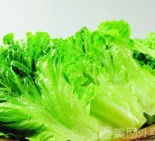 Lettuce Globe