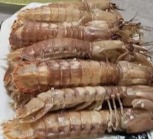 Pipa Shrimp
