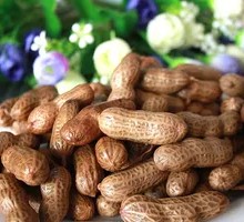 Steamed Peanuts