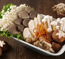 Mountain Delicacies Gathering