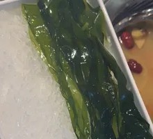 Deep Sea Kelp Sprouts