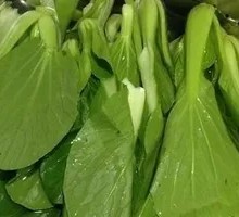 Bok choy