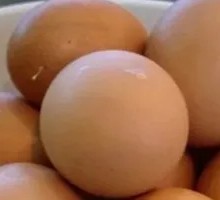 Egg