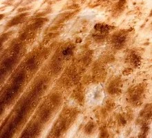 Handmade Steamed Flatbread