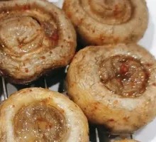 King Oyster Mushroom