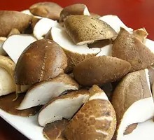 Shiitake Mushroom