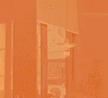 Braised Shrimp and Chicken Wing煲