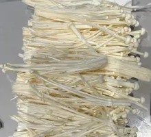 Enoki Mushroom
