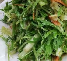 Mixed bitter lettuce salad
