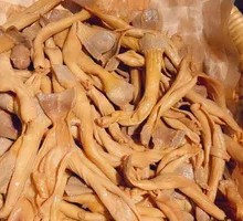 Duck Intestine and Duck Tripe Platter