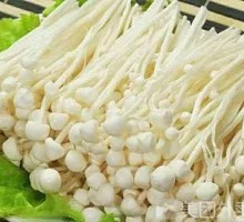Enoki Mushroom