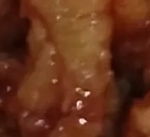 Sweet and Sour Pork Tenderloin