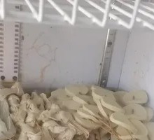 Vegetarian Tofu Chicken