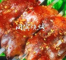 Specialty Pig Kidney