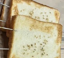 Toasted Bread