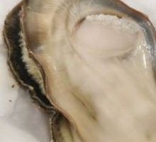 Steamed Oysters