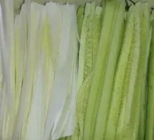 Scallion Cucumber Salad