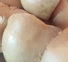 Pork Liver