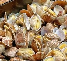 Stir-fried Clams with Spices