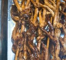 Squid
