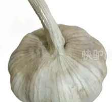 Three Cloves of Garlic
