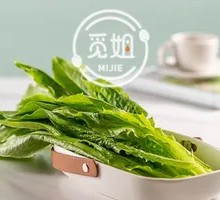 Oilseed lettuce