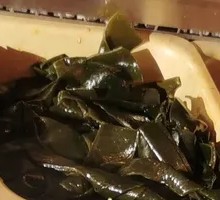 Signature Kelp Knots