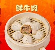 Fresh Beef Dumplings