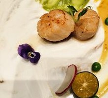 Pan-Seared Scallops with Avocado Sauce