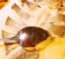 Yellow croaker