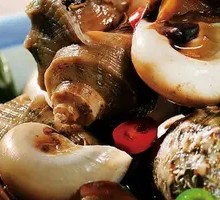 Small Conch