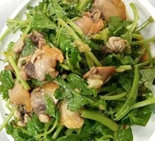 Braised Celery Sprout with Razor Clams