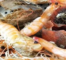 Qingdao Sea Shrimp